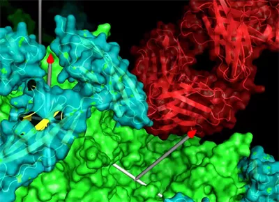 Electron Microscopy artist imagery