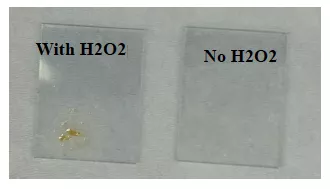 A close-up of a pair of rectangular objects  AI-generated content may be incorrect.