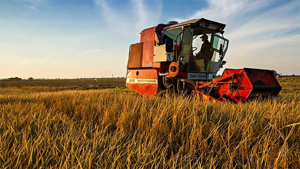 red combine in field