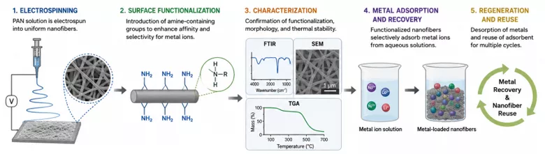 1. Electrospinning: PAN solution is electrospun into uniform nanofibers; 2. Surface functionalization: Introduction of amine-containing groups to enhance affinity and selectivity for metal ions; 3. Characterization: Confirmation of functionalization, morphology and thermal stability; 4. Metal absorption and recovery: Functionalized nanofibers selectively adsorb metal ion from aqueous solutions; 5. Regeneration and Reuse: desorption of metals and reuse of adsorbent for multiple cycles